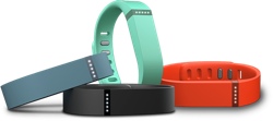 Fitbit Flex