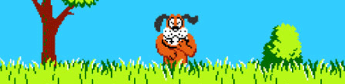 Duck Hunt